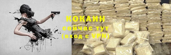 тгк Алзамай