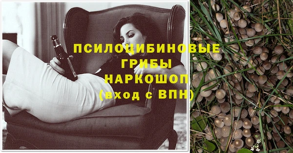 тгк Алзамай