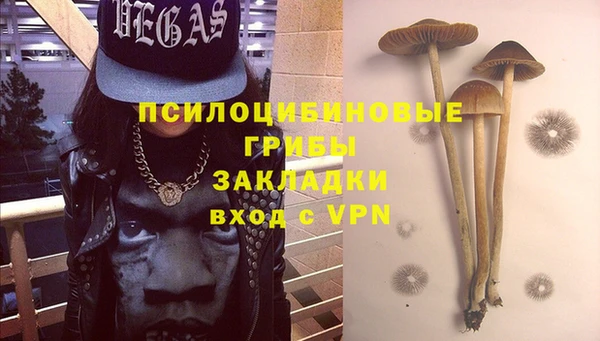 тгк Алзамай