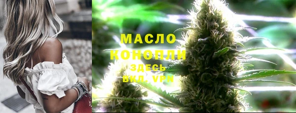 тгк Алзамай